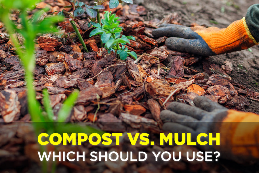 Benefits of using compost