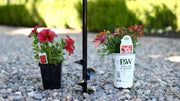 Garden Answer Auger Combo (3" & 7")