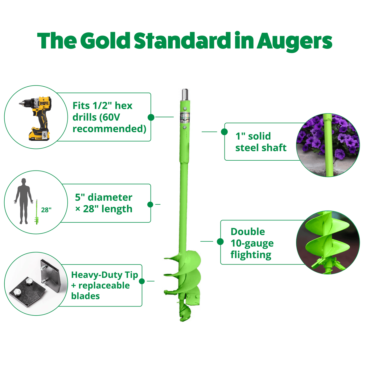 Green auger with features highlighted on a white background