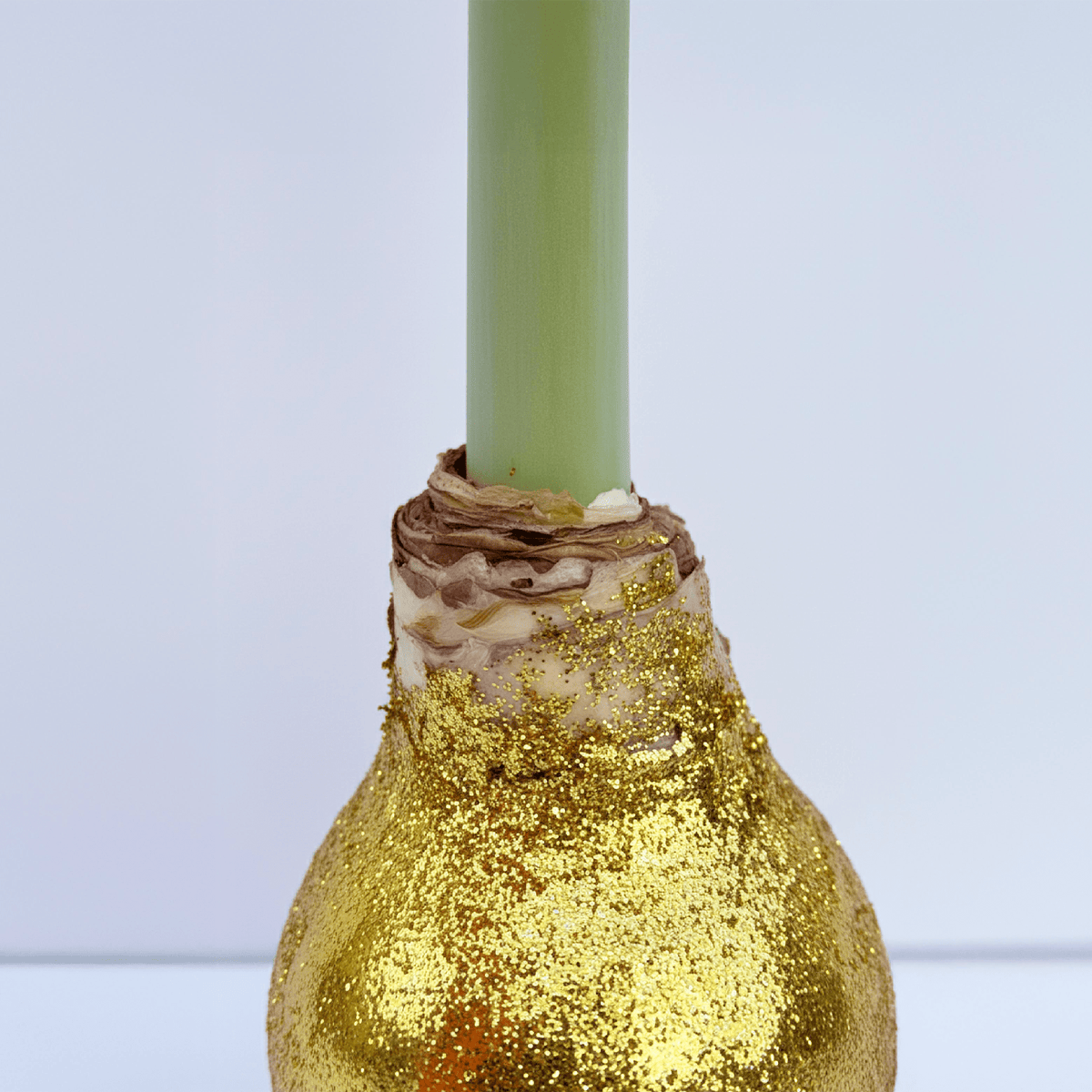 Cherry Blossom Amaryllis – Gold Glitter - Power Planter Augers