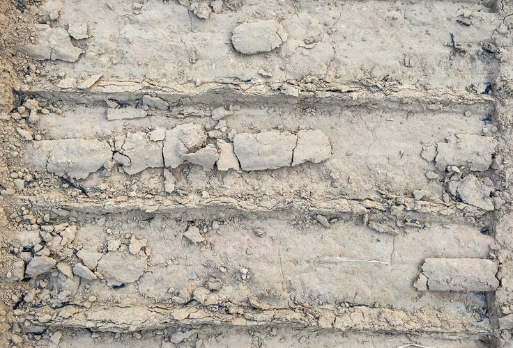 Improving Compacted Soil