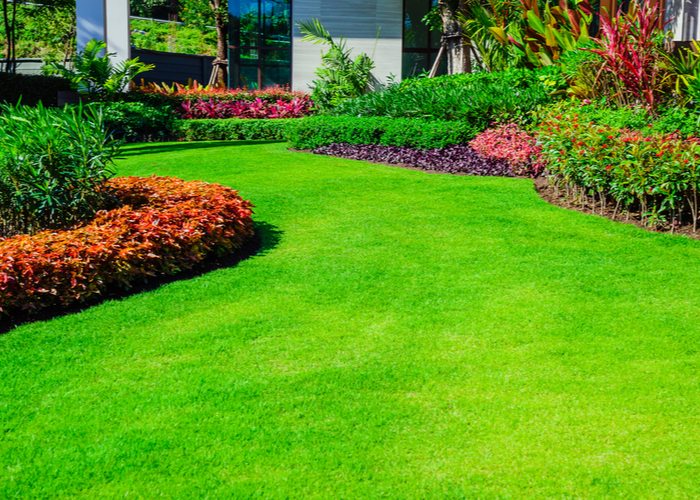 Essential Gardening Supplies for New Homeowners