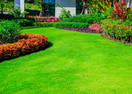 Essential Gardening Supplies for New Homeowners