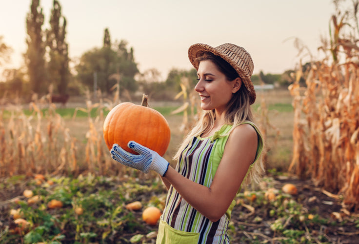 Fall Gardening Ideas
