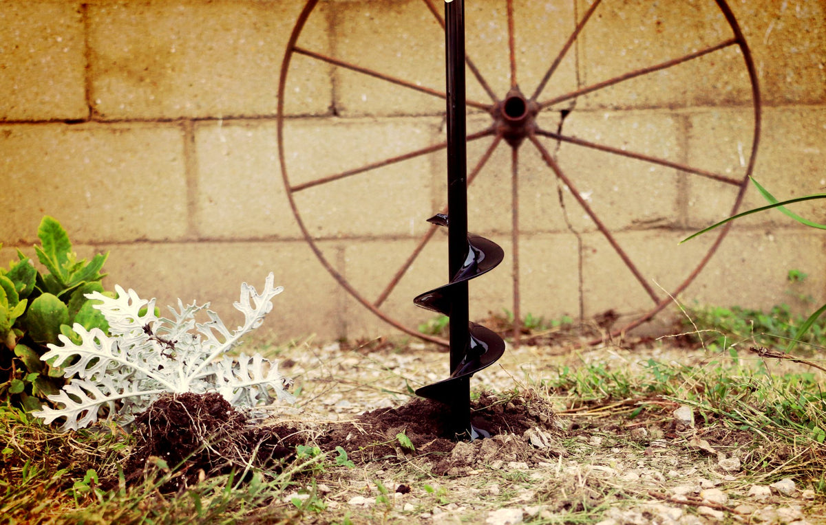 How to Reduce Plant Loss in Your Garden
