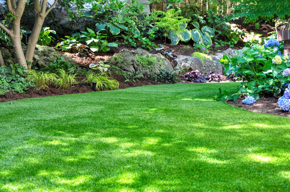 Mistakes Every New Homeowner Makes In Their Yard