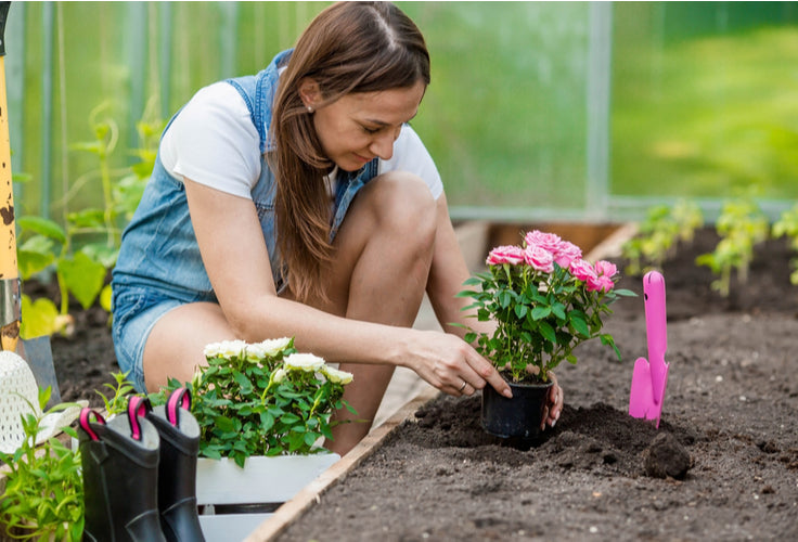 How To Maintain A Garden