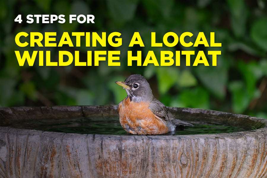 4 Steps for Creating a Local Wildlife Habitat