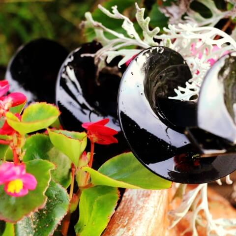 7 Great Bulb-Planting Tips For a Colorful Spring and Summer