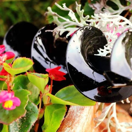 7 Great Bulb-Planting Tips For a Colorful Spring and Summer