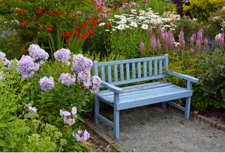 How To Start A Flower Garden
