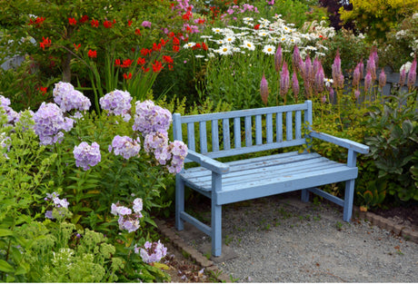 How To Start A Flower Garden