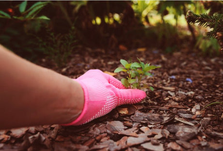How To Prevent Weeds In Flower Beds - Power Planter Augers