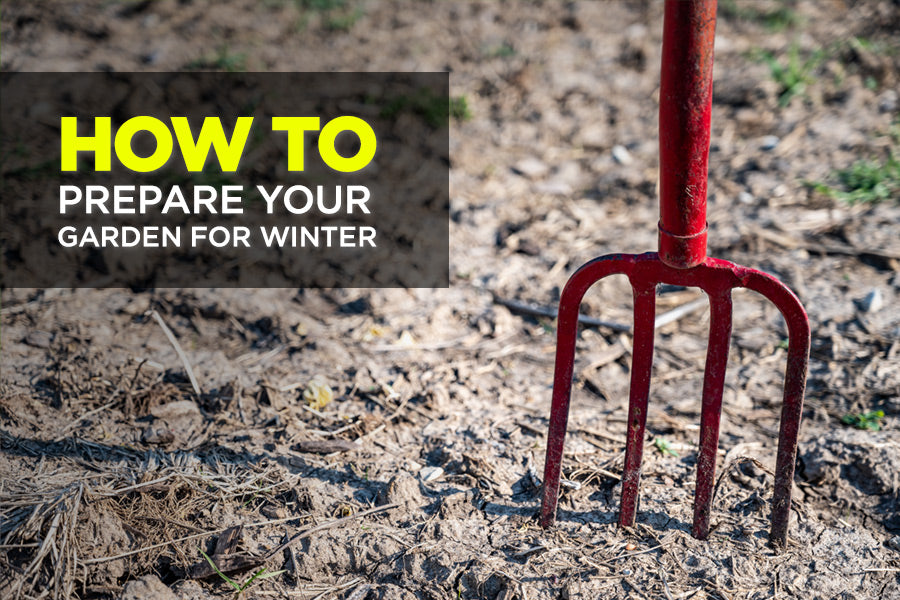 How to Prepare Your Garden for Winter