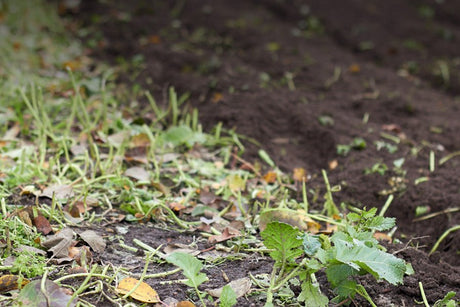 How and When to Till Your Garden - Power Planter Augers