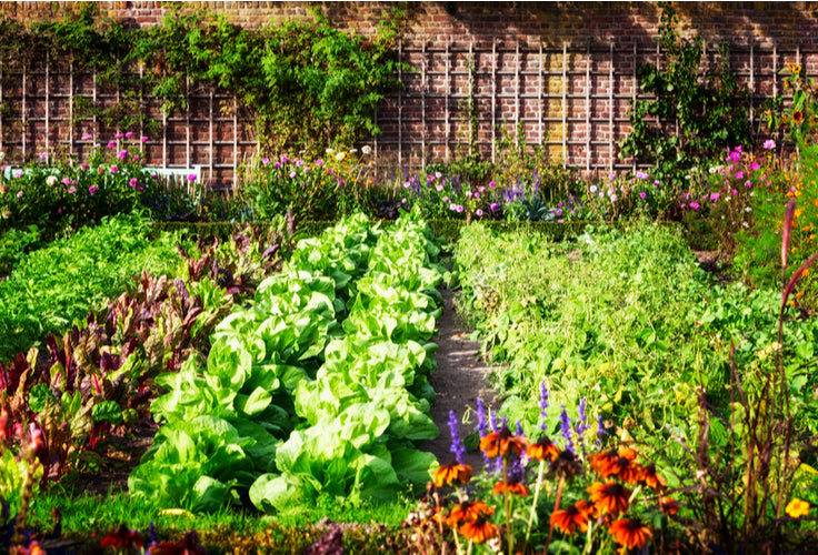 The Best Time To Start A Garden