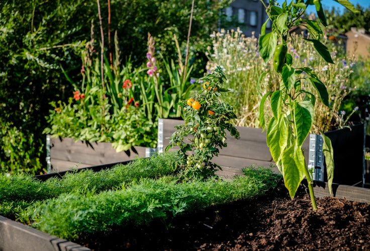 Sustainable Gardening Tips & Ideas - Power Planter Augers