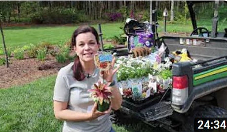 Adding Unique Perennial Succulents & a New Annual to the Garden