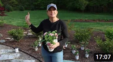 Planting Flowers: How to Get the Most Out of Your Garden with Creekside Nursery