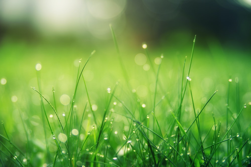 The Process and Benefits of Lawn Aeration
