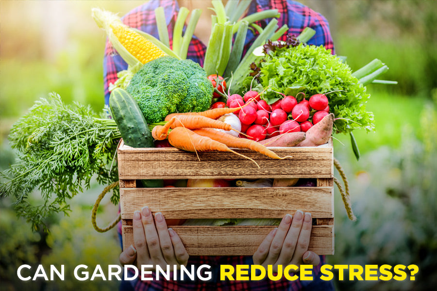 Can Gardening Reduce Stress?