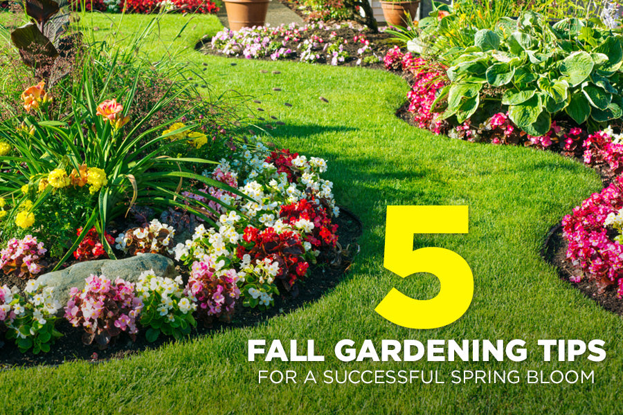 5 Fall Gardening Tips for a Successful Spring Bloom