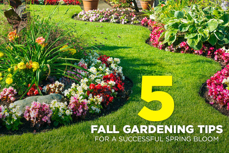 5 Fall Gardening Tips for a Successful Spring Bloom