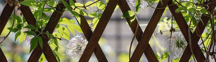 Connecting by Climbing: Plant and Build&nbsp;Garden Supports - Power Planter Augers