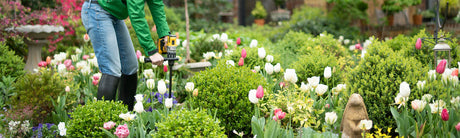Fall Bulb Planting Tips – Use a Bulb Auger