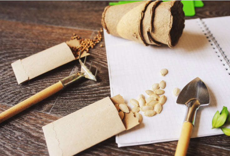 How To Prepare Your Garden For Spring