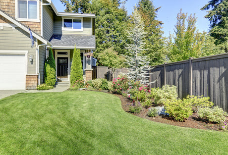 Beginner Tips For New Gardeners