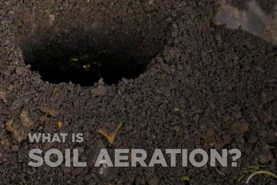 What Is Soil Aeration?