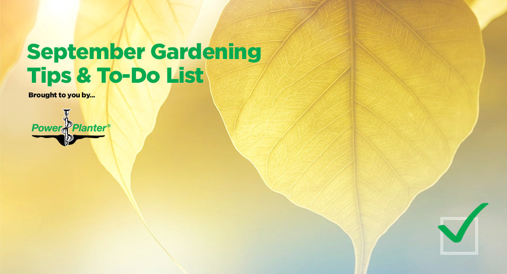 September Gardening Tips & To-Do List