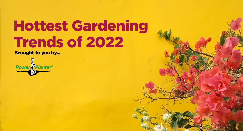 Hottest Gardening Trends of 2022: Stylistic & Sustainable
