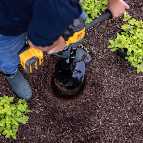 Planting Mums with an Auger