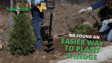 Garden Answer Uses a Power Planter Auger for Planting Shrubs - Power Planter Augers