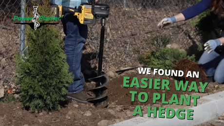 Garden Answer Uses a Power Planter Auger for Planting Shrubs