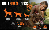 Grounded Paws Dog Tie Down Kit