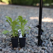 Garden Answer 2" Auger