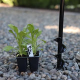 Garden Answer 2" Auger