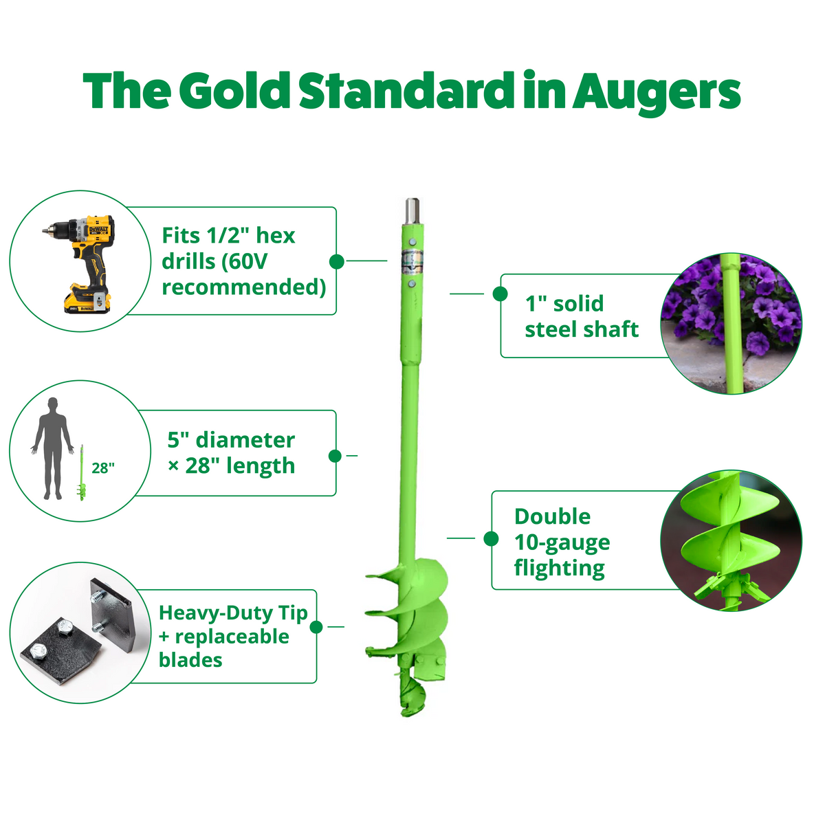 Green auger with features highlighted on a white background