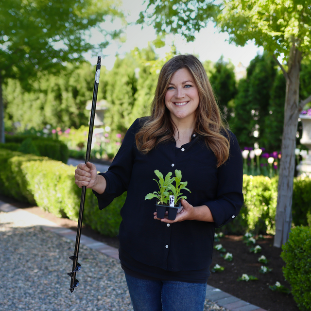 Garden Answer Laura's 2'' x 36'' Auger' in a garden setting.