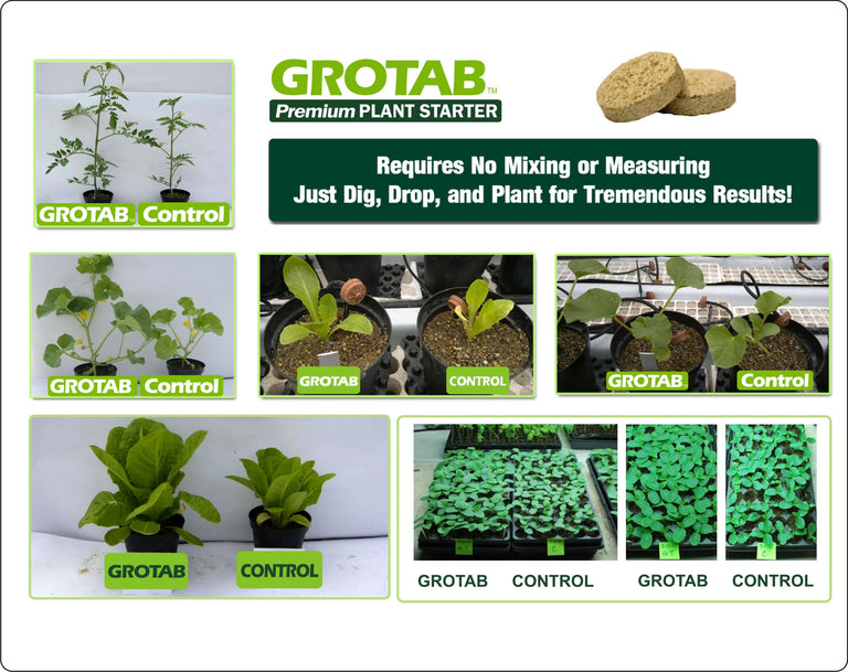 GroTab Fertilizer Tablets 500 count