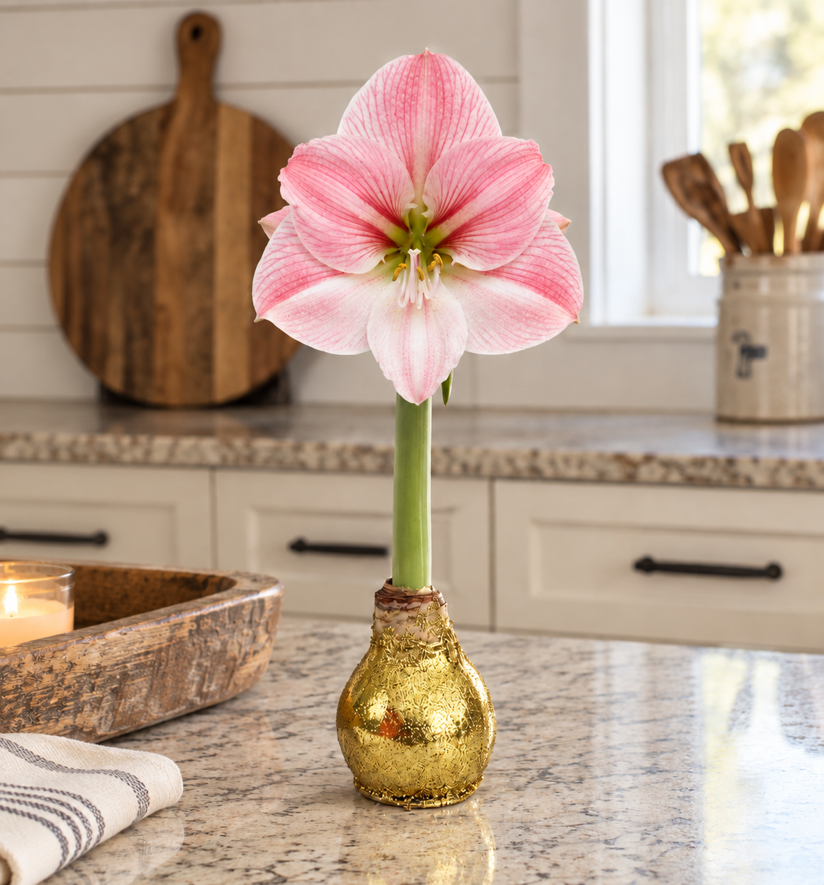 Cherry Blossom Amaryllis – Gold Glitter