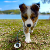 Dog Run Option for Grounded Paws Tie Down Kit