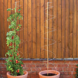 Twisters Extendable Plant Supports – Set of 3