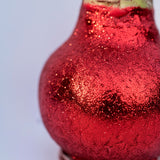 Super Star Amaryllis - Red Glitter